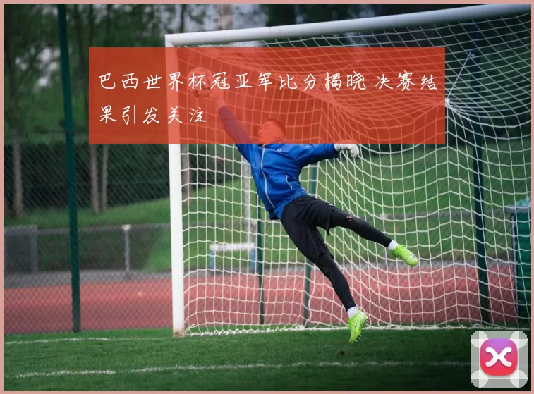 巴西世界杯冠亚军比分揭晓 决赛结果引发关注