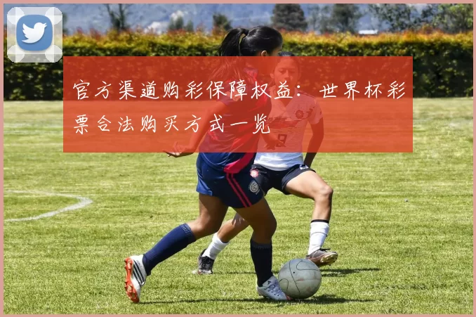 官方渠道购彩保障权益:世界杯彩票合法购买方式一览