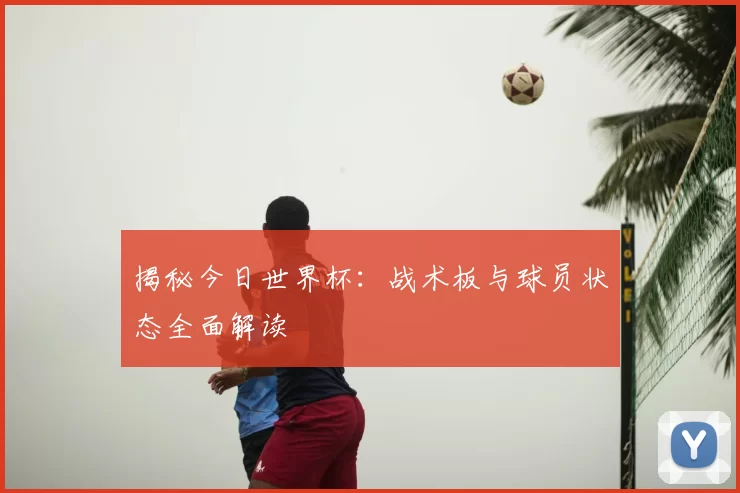 揭秘今日世界杯:战术板与球员状态全面解读