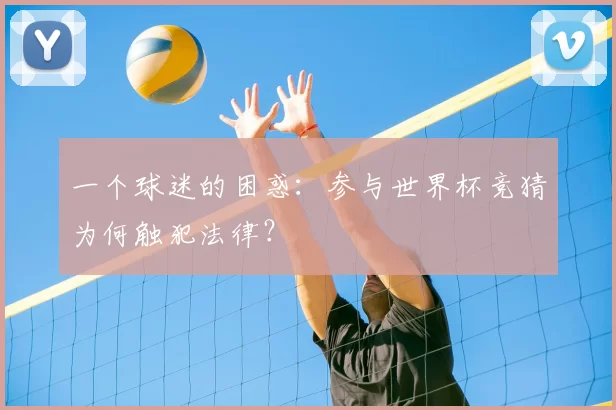 一个球迷的困惑：参与世界杯竞猜为何触犯法律？