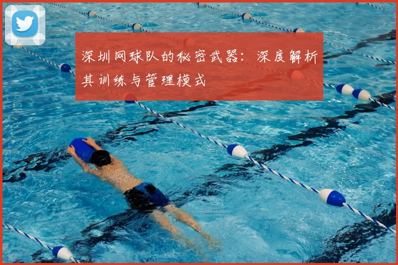 深圳网球队的秘密武器：深度解析其训练与管理模式